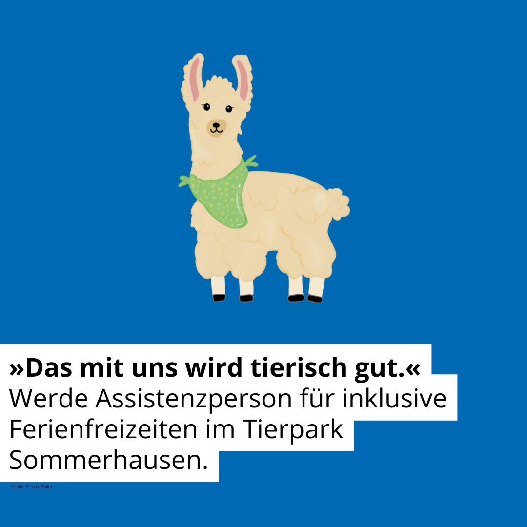 Zeichnung eines Lamas. Text: Das mit uns wird tierisch gut. Werde Assistenzperson für inklusive Ferienfreizeiten im Tierpark Sommerhausen.